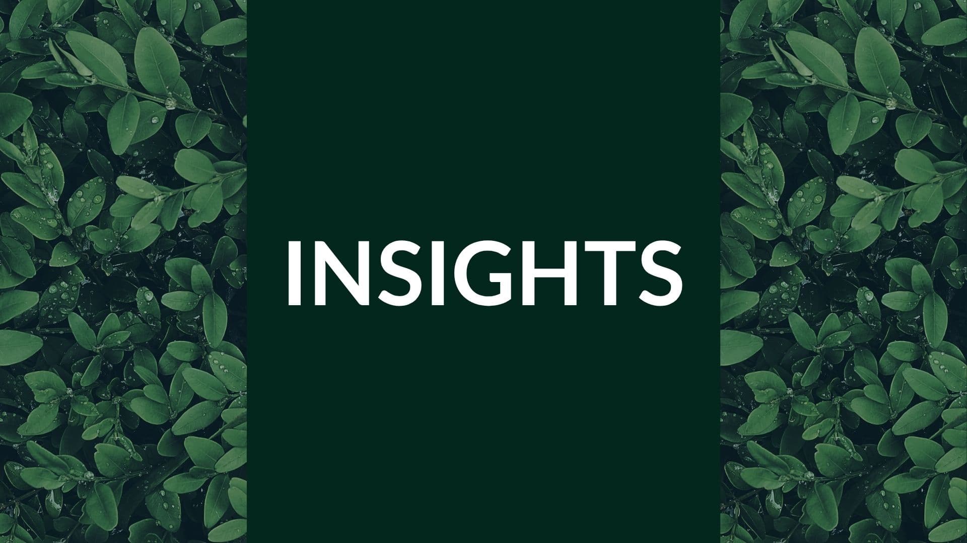 ESG Insights