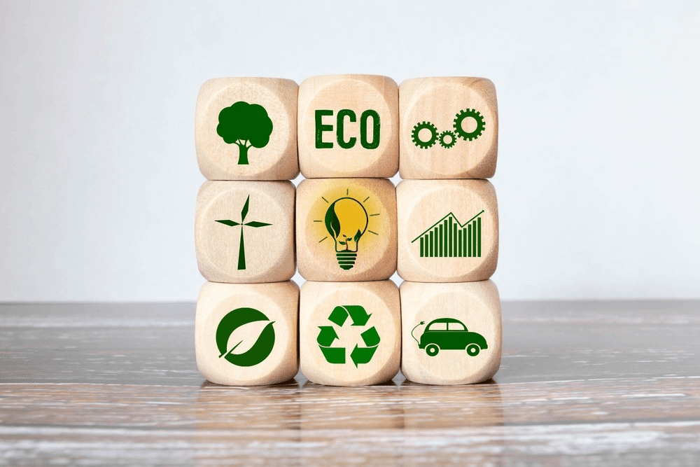 ESG & Net-Zero Strategy