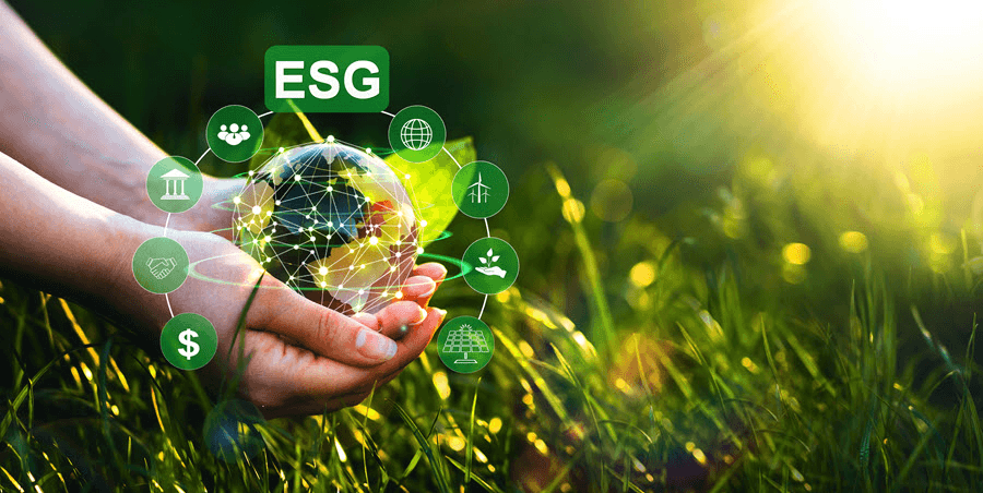 ESGC Audit